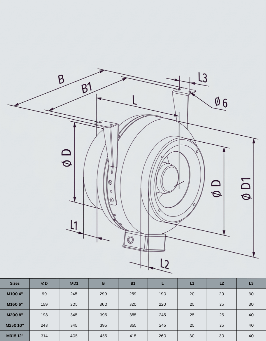Blauberg Dimensions (2)